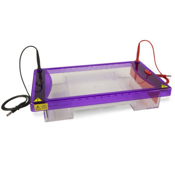Cleaver Scientific multiSUB Maxi Horizontal Electrophoresis System MSMAXI in Nepal