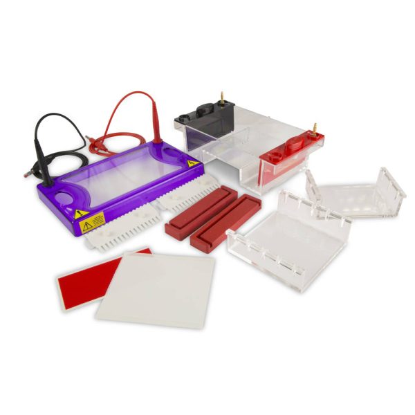 Midi Horizontal Electophoresis Package, Includes:MSMIDIDUO