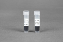 Bioneer 6X Agarose Gel Loading Buffer — 2 × 1 mL C-9029 in Nepal
