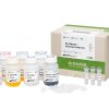Bioneer EcoQprep™ Genomic DNA Kit — 50 Reactions K-3701 in Nepal