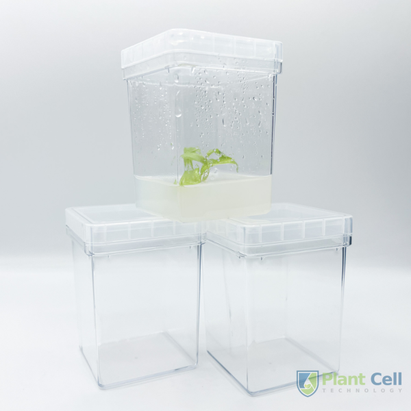 Plant Cell Technology square culture vessels and plant cultures